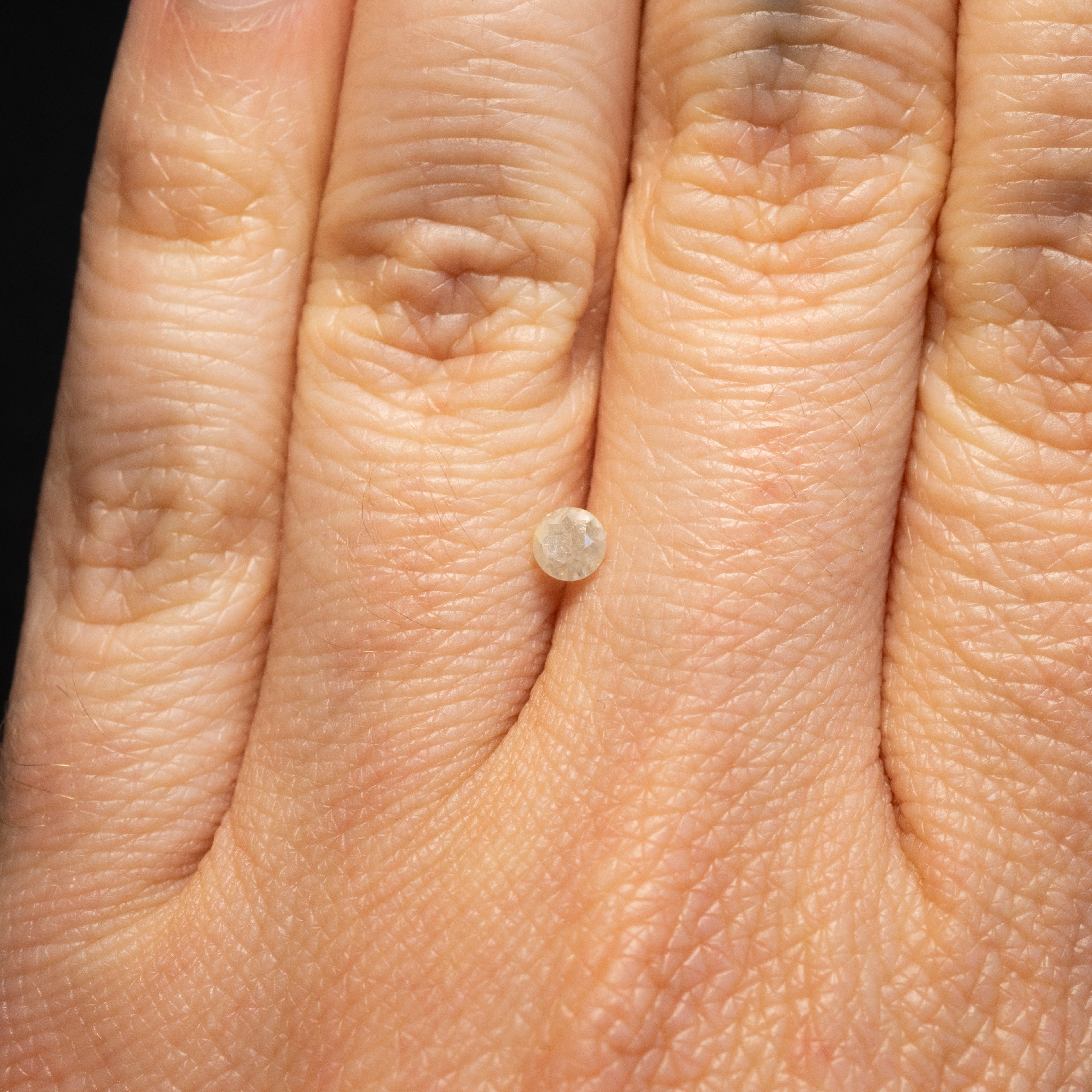 Round Brilliant Icy Salt + Pepper Diamond | 0.21ct