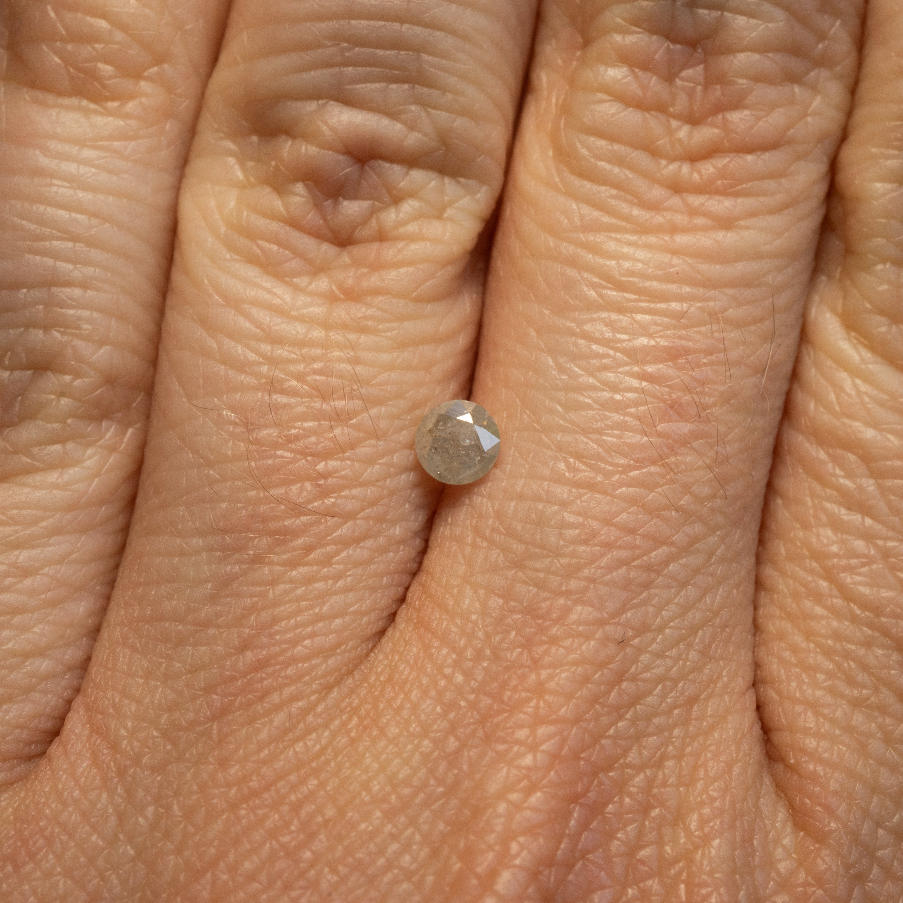 Round Brilliant Salt + Pepper Diamond | 0.29ct