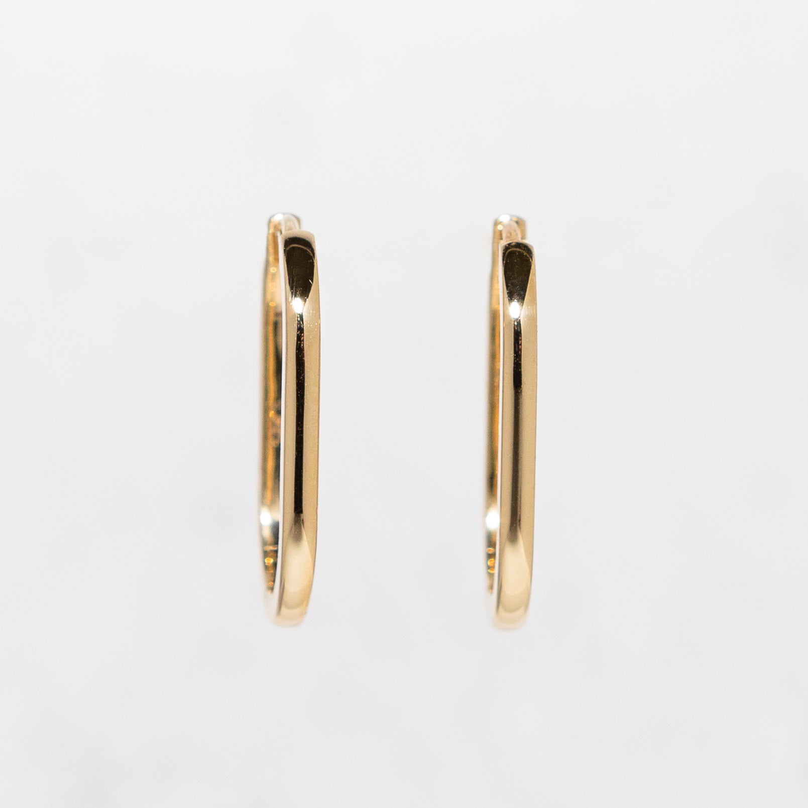 Elongated Oval Hoop Earrings