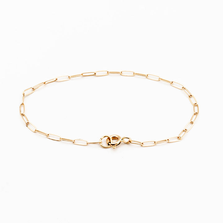 Paperclip Chain Anklet