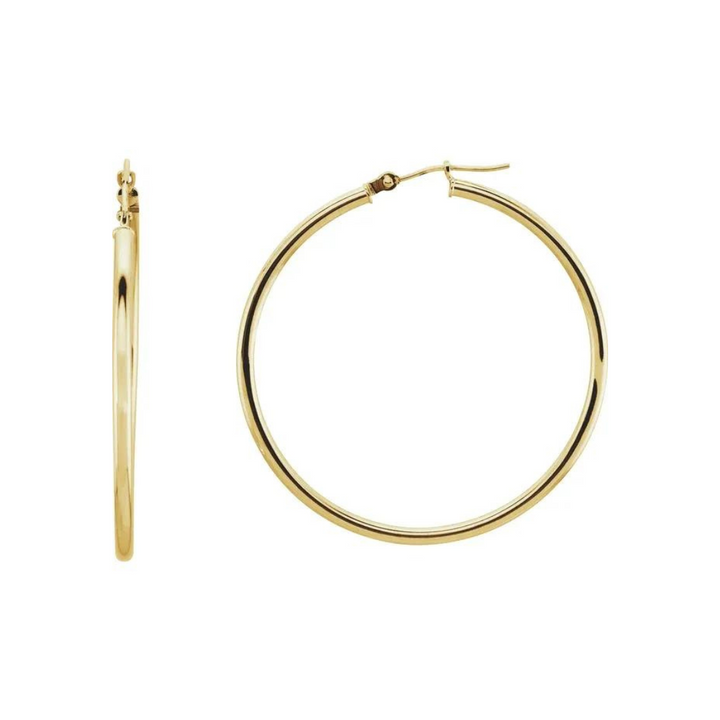 Hinged Hoop Earrings