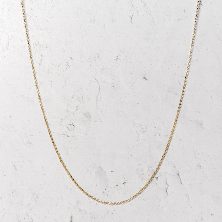 Rolo Chain Necklace in 14k Gold